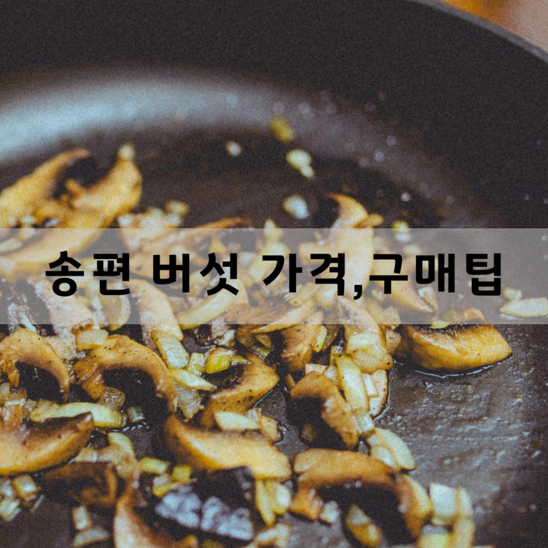 송편-버섯-가격과-구매-팁