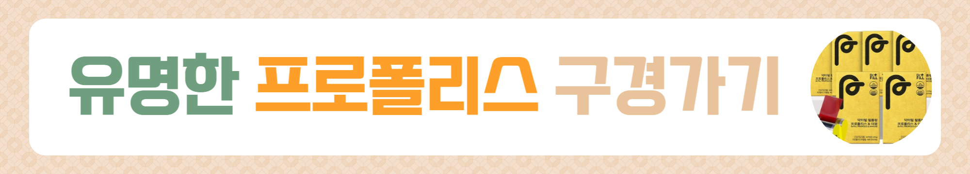 면역력 높이는 영양제 추천 BEST 5