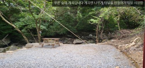 캠핑장-사이트