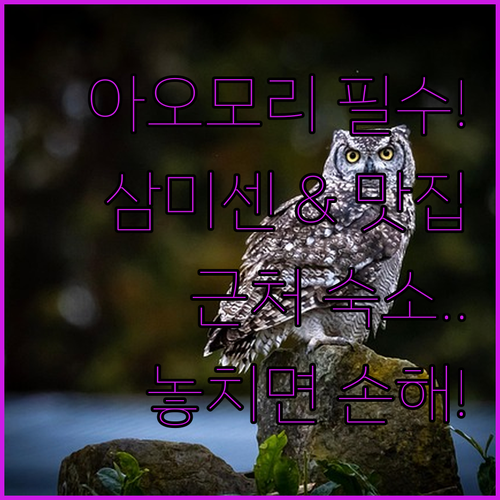 아오모리 쓰가루 삼미센 체험 맛집 근..