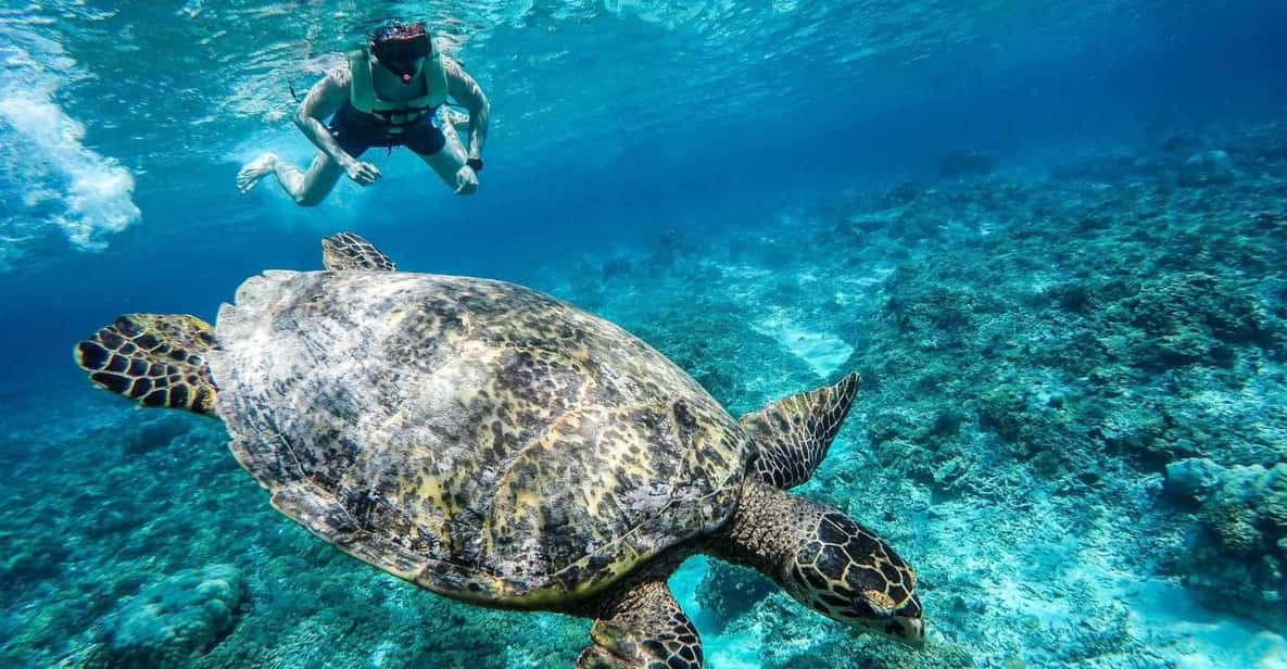 롬복 여행 관련사진