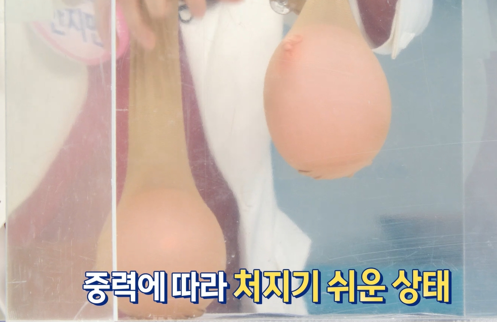 엘라스틴 효능