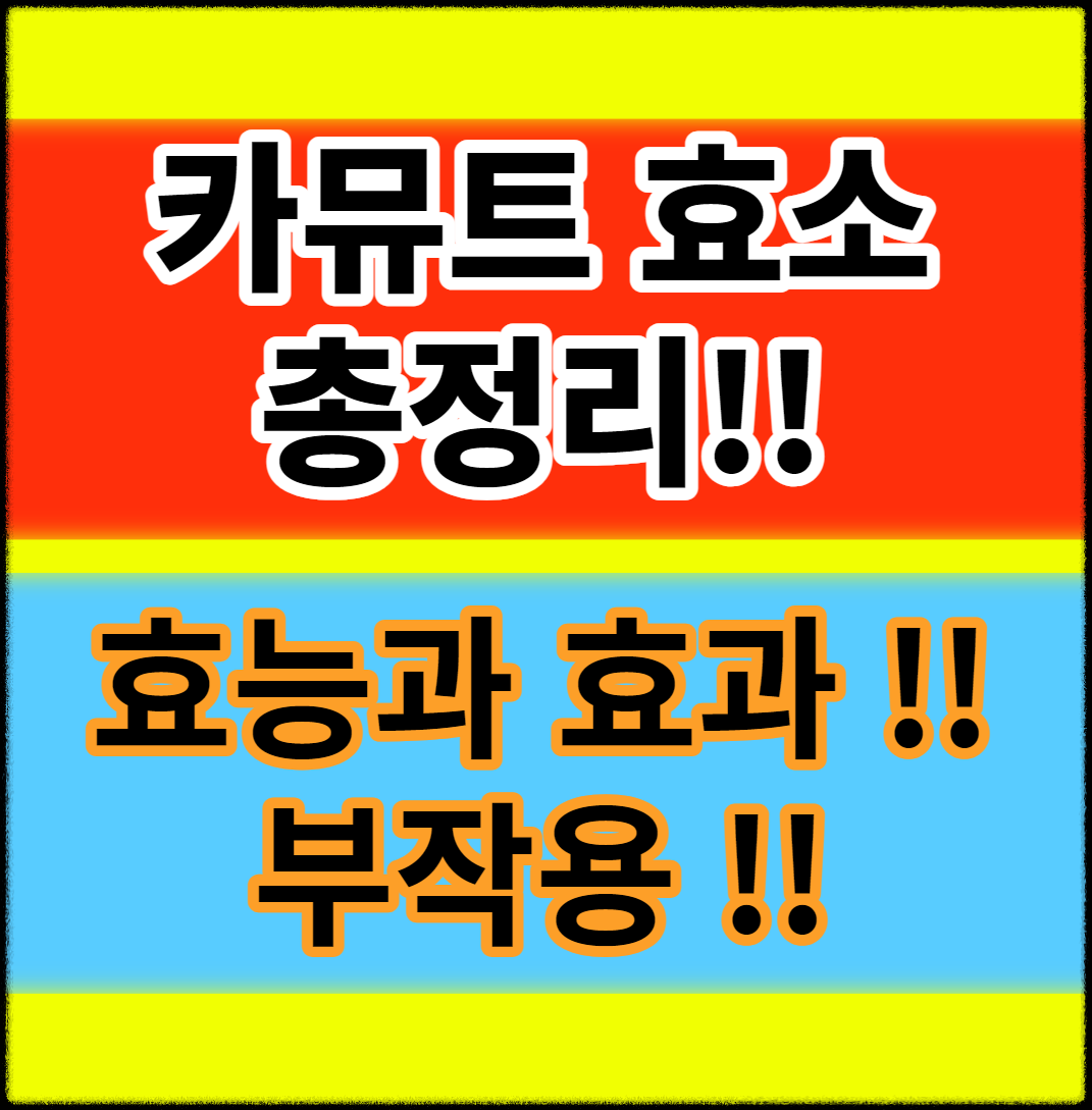 ์นด๋ฎคํธ ํจ์ ์ด์ ๋ฆฌ