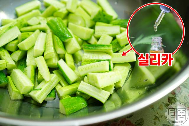 보습에 좋은 음식,보습에 좋은 성분 실리카,건조한 피부 관리법