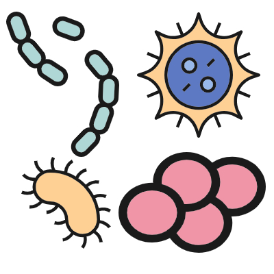 봉와직염을 일으키는 세균들