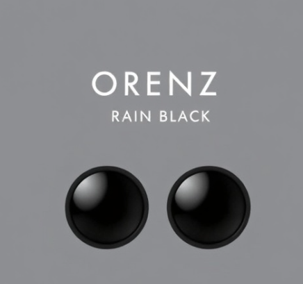 오렌즈레인블랙그림