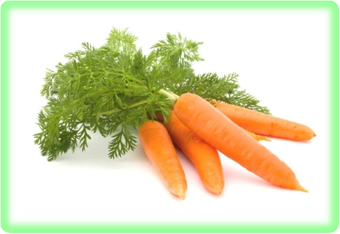 공복에 먹어도 좋은 음식 당근