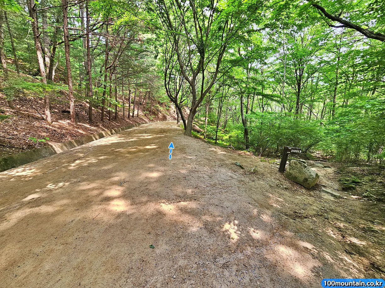 금의환향길 갈림길
