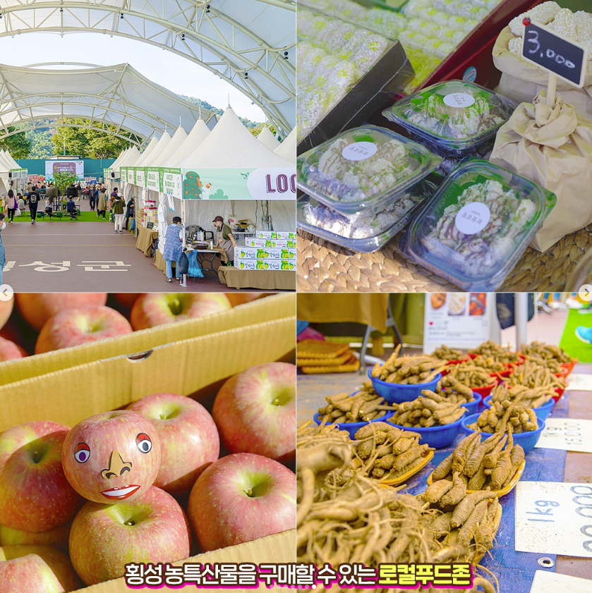 2024 횡성 한우 축제 일정