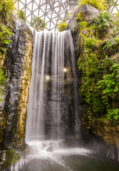 겨울 거제도 갈만한곳 정글돔