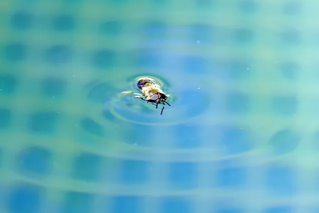 미역국 맛있게 끓이는 방법과 깊은 맛 내는 팁_9