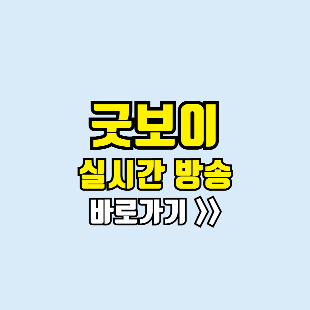 굿보이 실시간