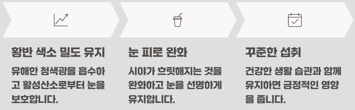 루테인 지아잔틴 효능 부작용