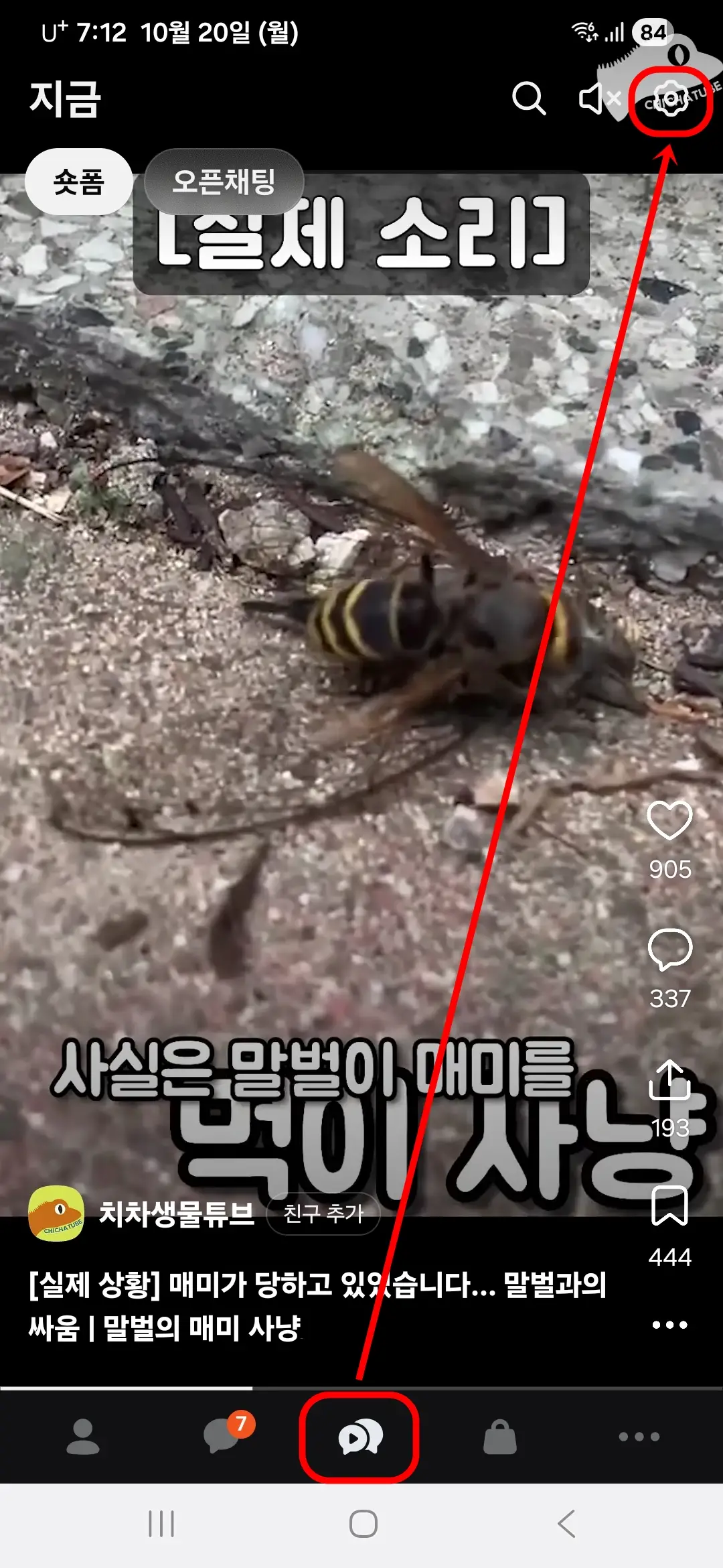 숏폼-설정