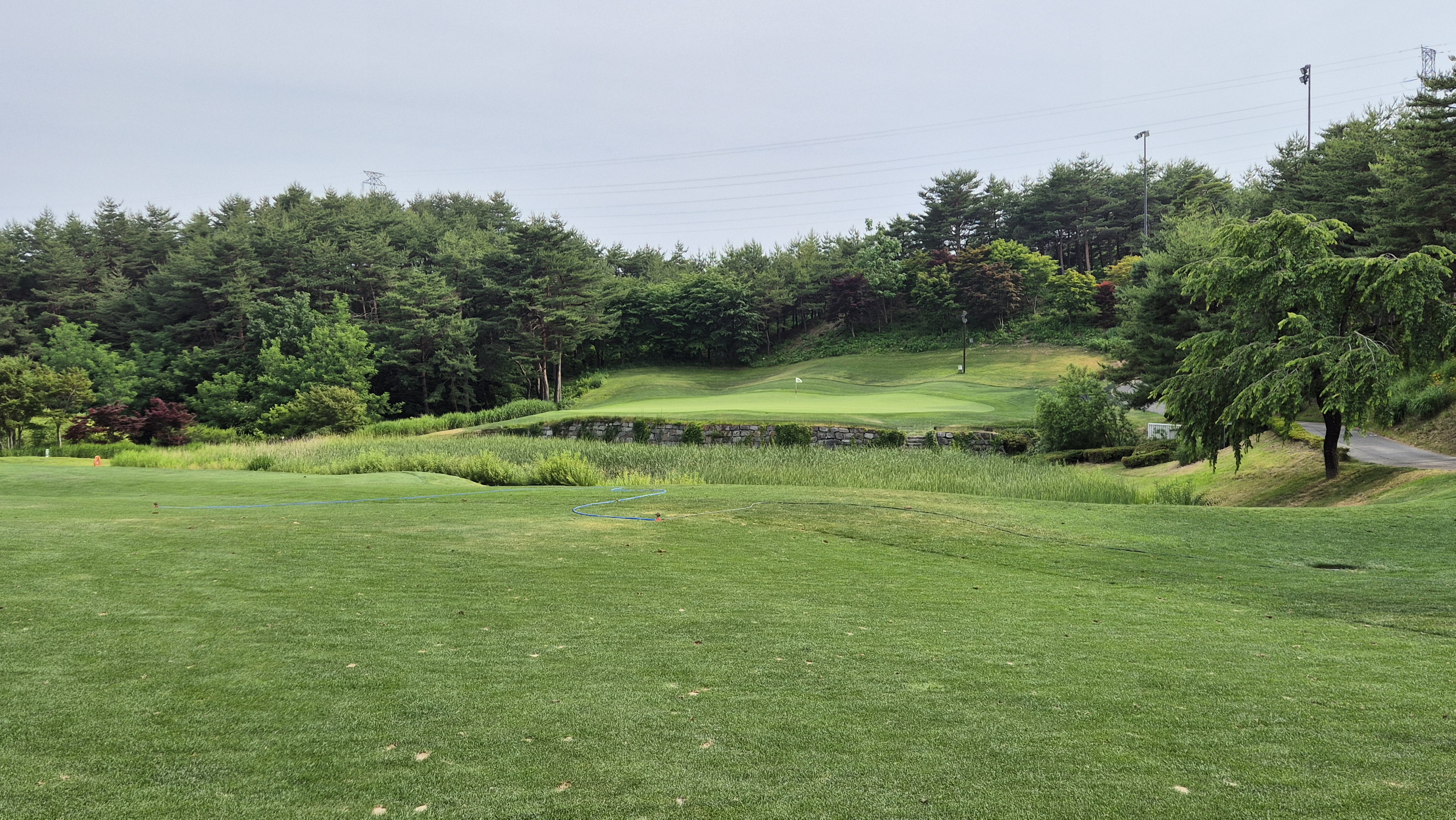 파인리즈cc 후기 및 코스사진