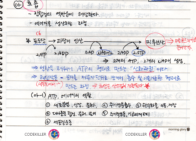 호흡