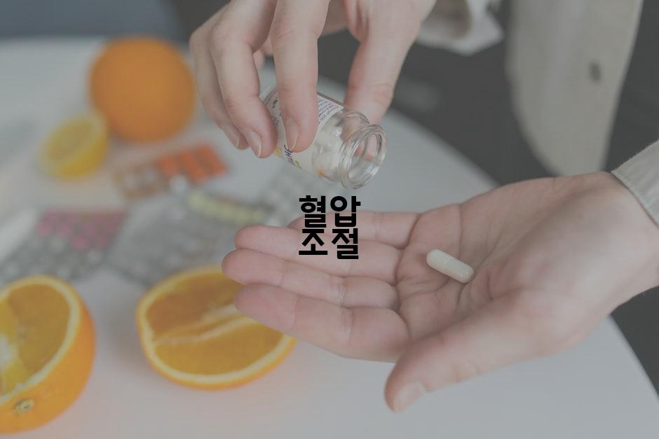 혈압 조절