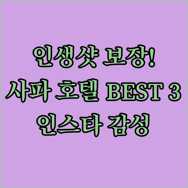 인생샷 보장! 사파 인스타 감성 호텔
