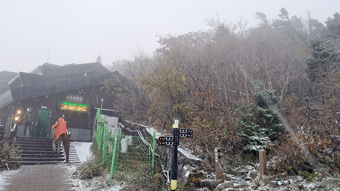 작년 대비 첫눈 시기 비교 및 강설량