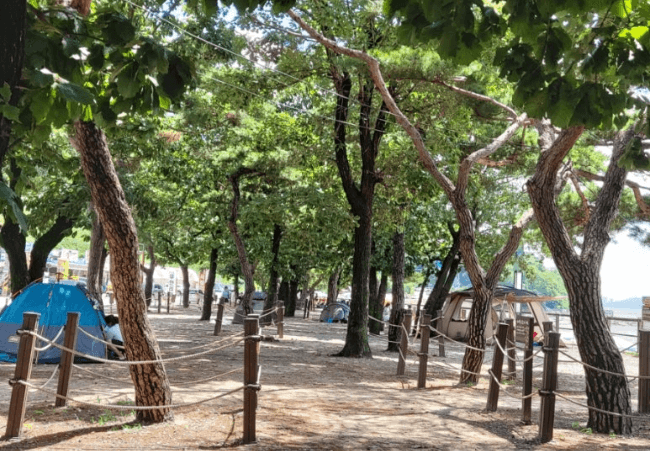 동막해변