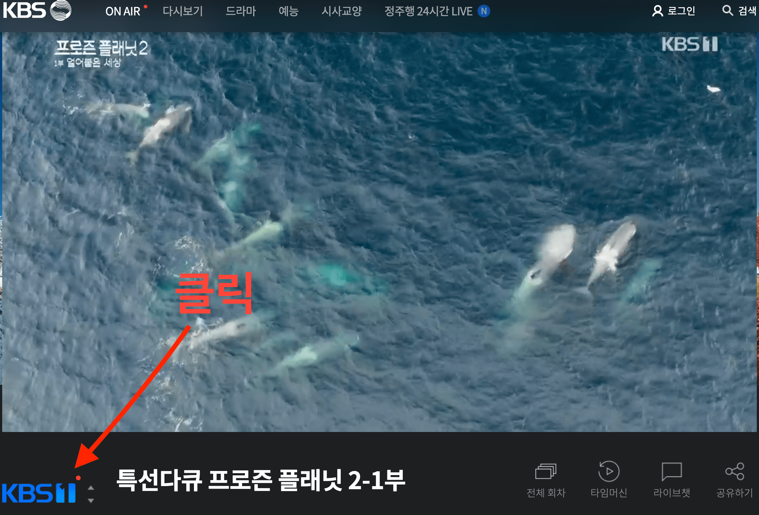 대한민국 VS 팔레스타인 축구 무료 생중계