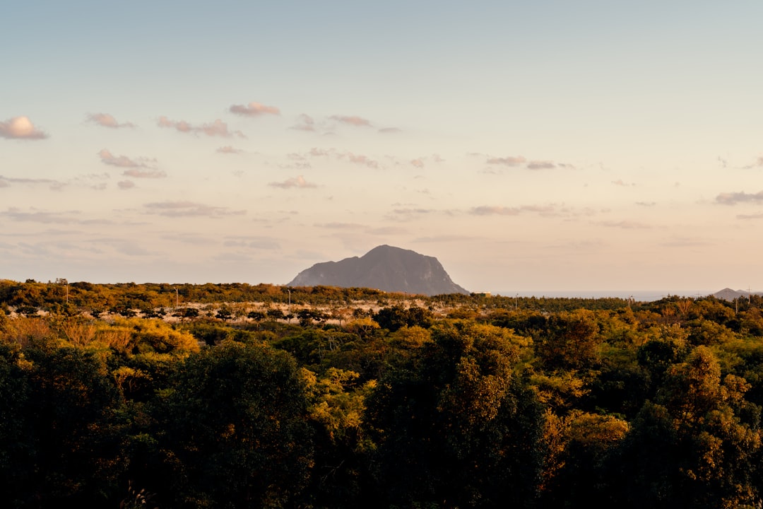 Jeju