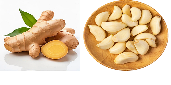 폐암에 좋은 음식1