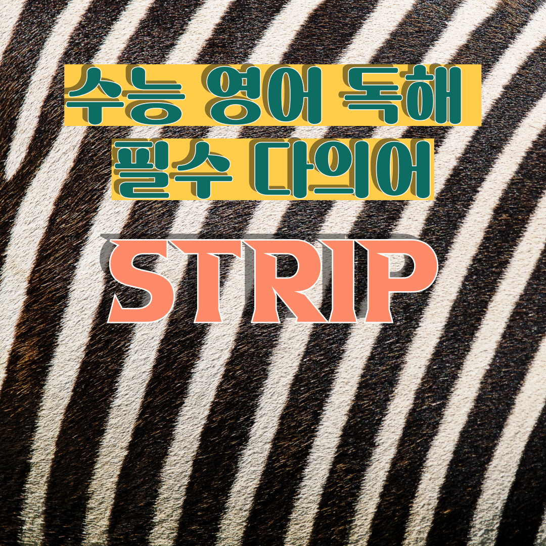 수능 영어 독해 필수 다의어 strip의 뜻과 예문