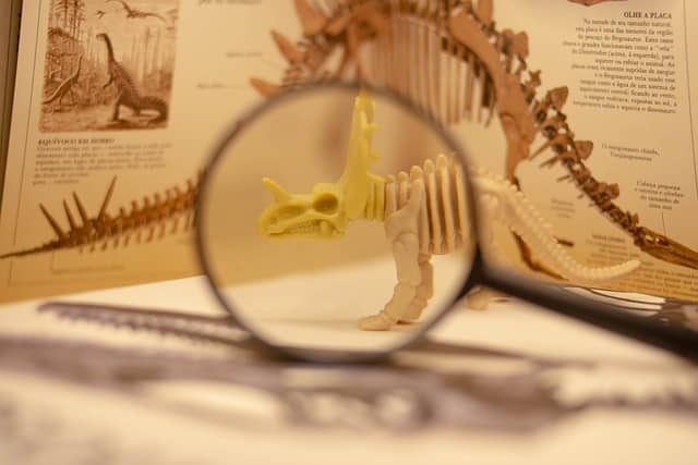 지질학적 시간 중생대