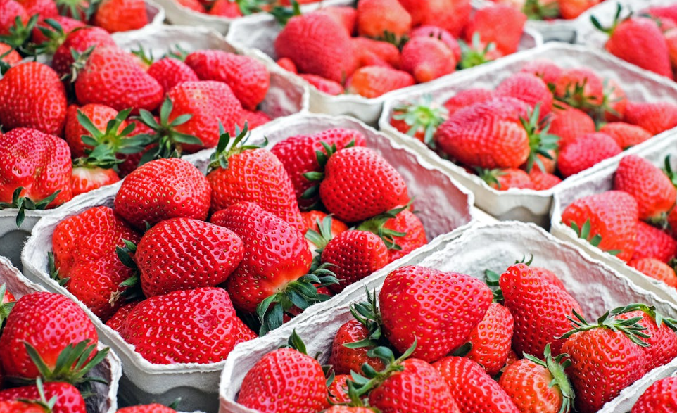 귀농 교육 추천