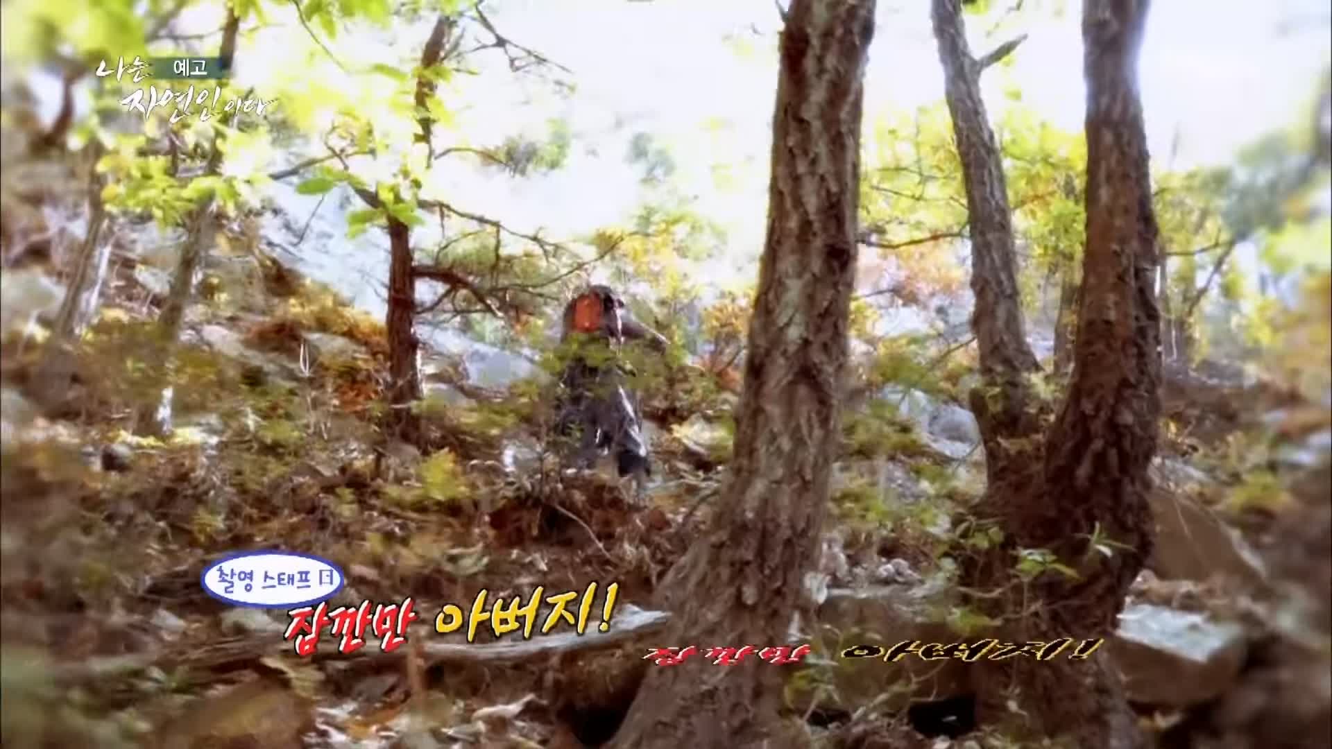 이승윤 윤택 나는 자연인이다 내가 산에 사는 재미 하수오 제피 담금주 골쇄보 자연인 배정수 소개 및 출연 529회 다시보기