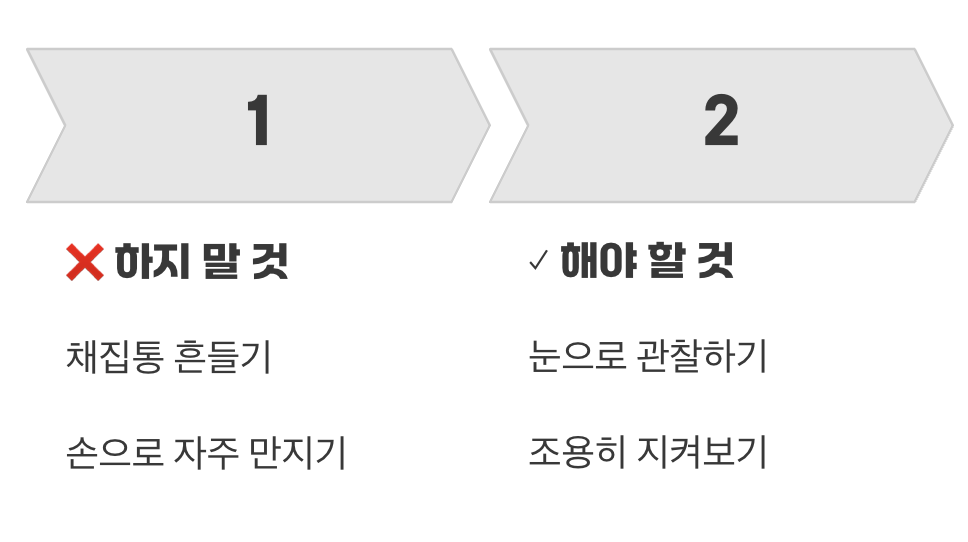 너무 잦은 스킨십은 독이에요