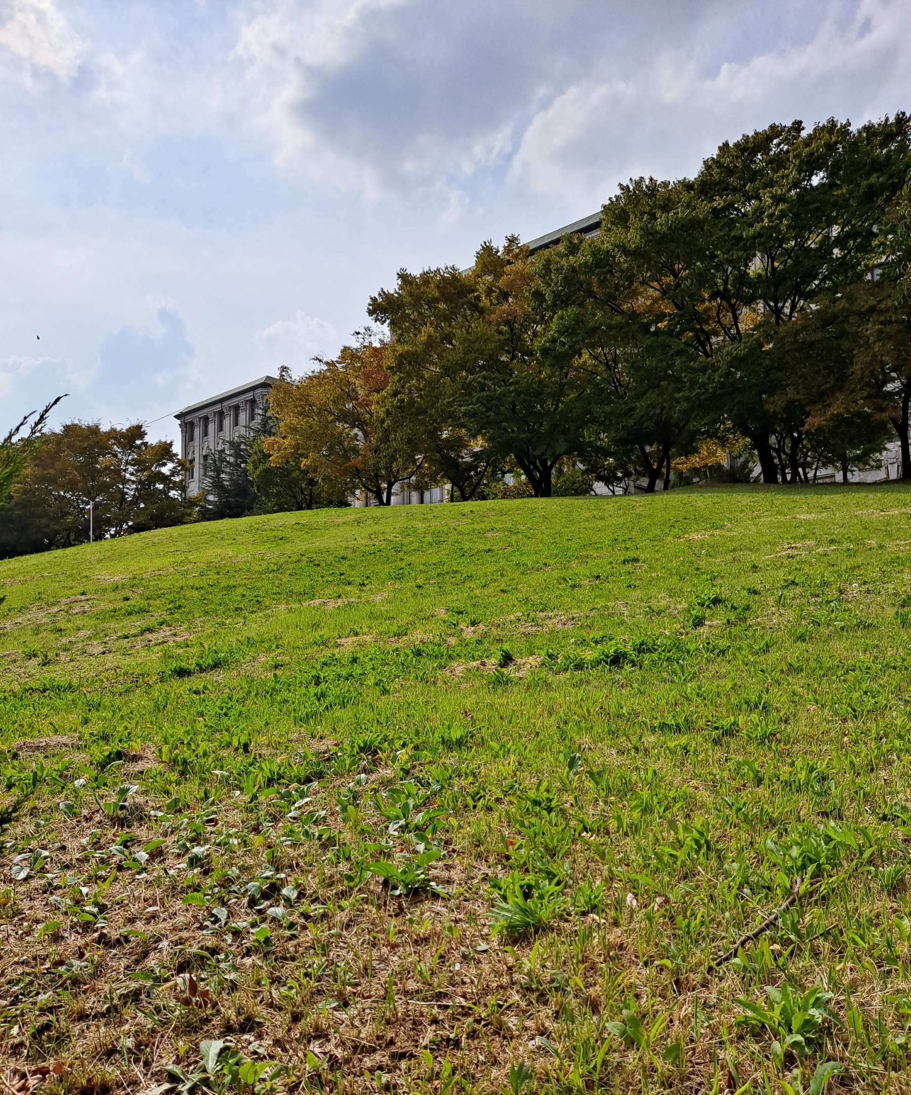 잔디밭 위 석조건물