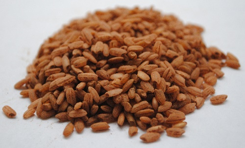 현미밥 효능 7가지 및 부작용