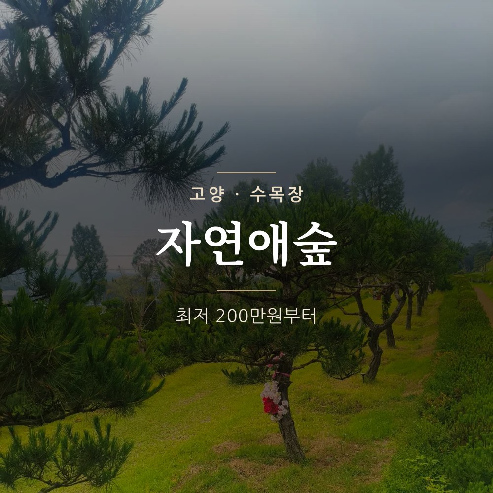 자연애숲 | 고양 수목장&middot;자연장 안내
