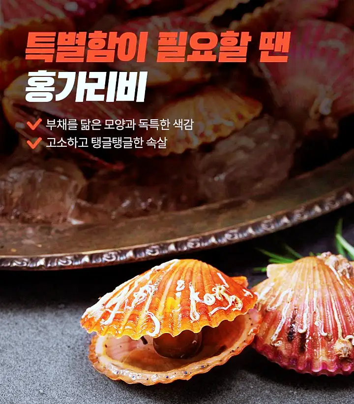 산지 직송 홍가리비