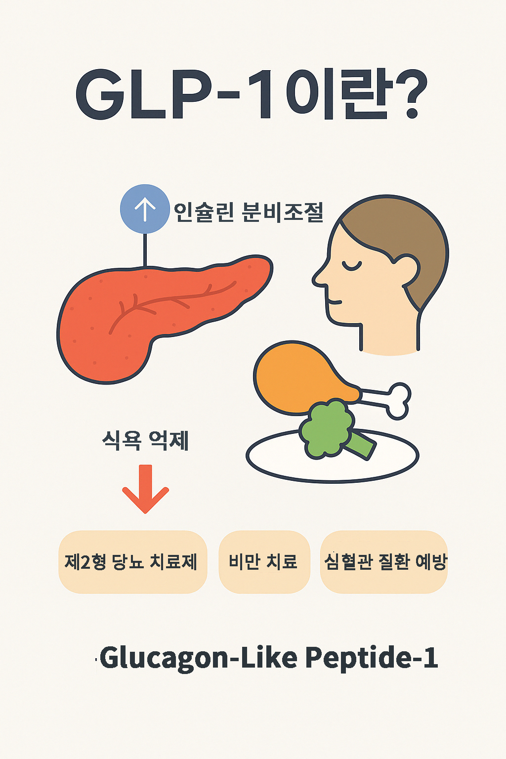 GLP-1 이란