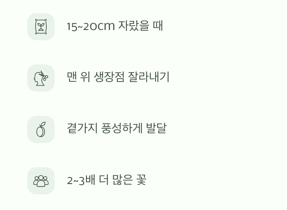 풍성함을 위한 마법, 순지르기