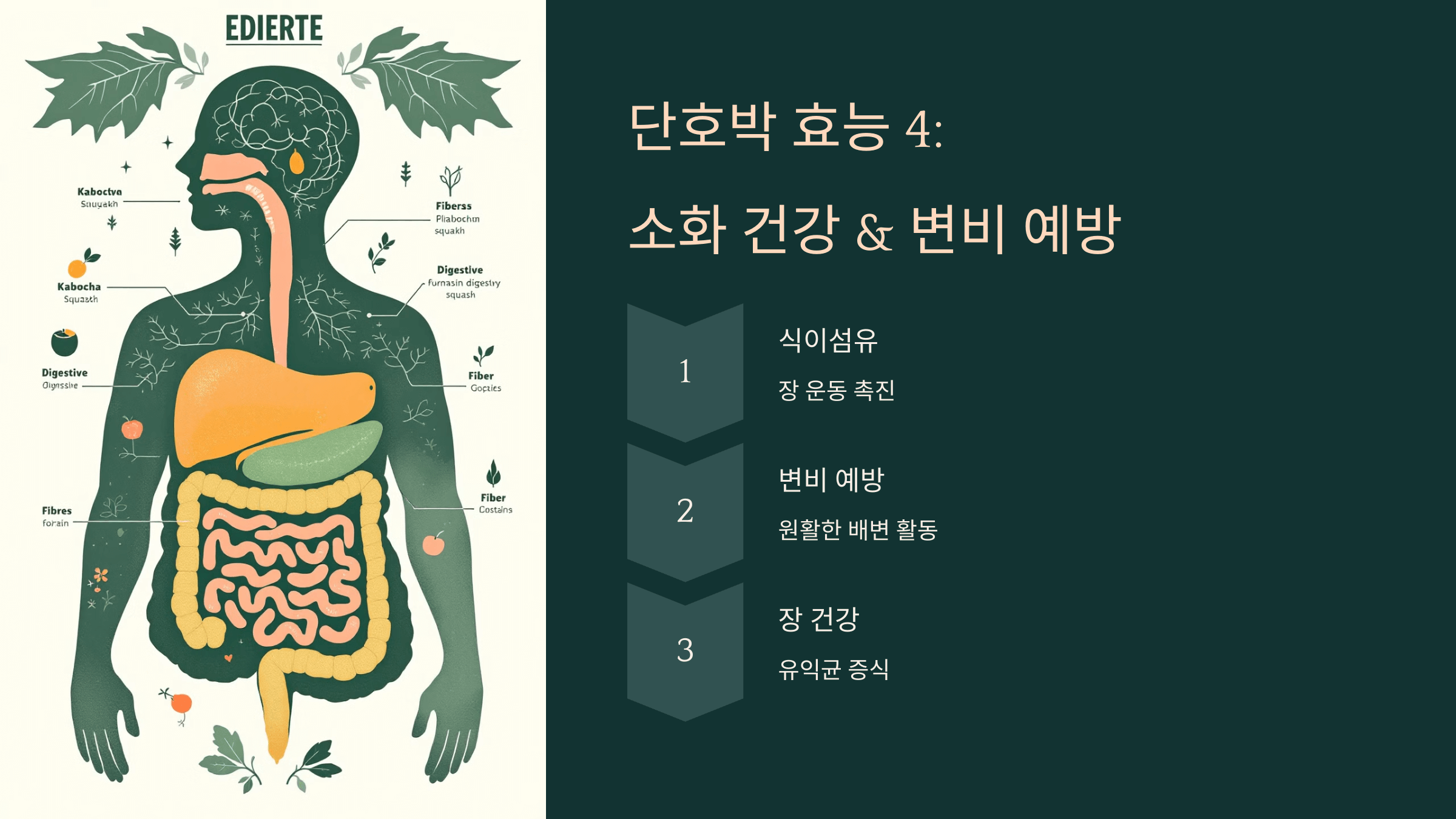 단호박 사진입니다.