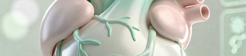 뇌ct로 알수있는것