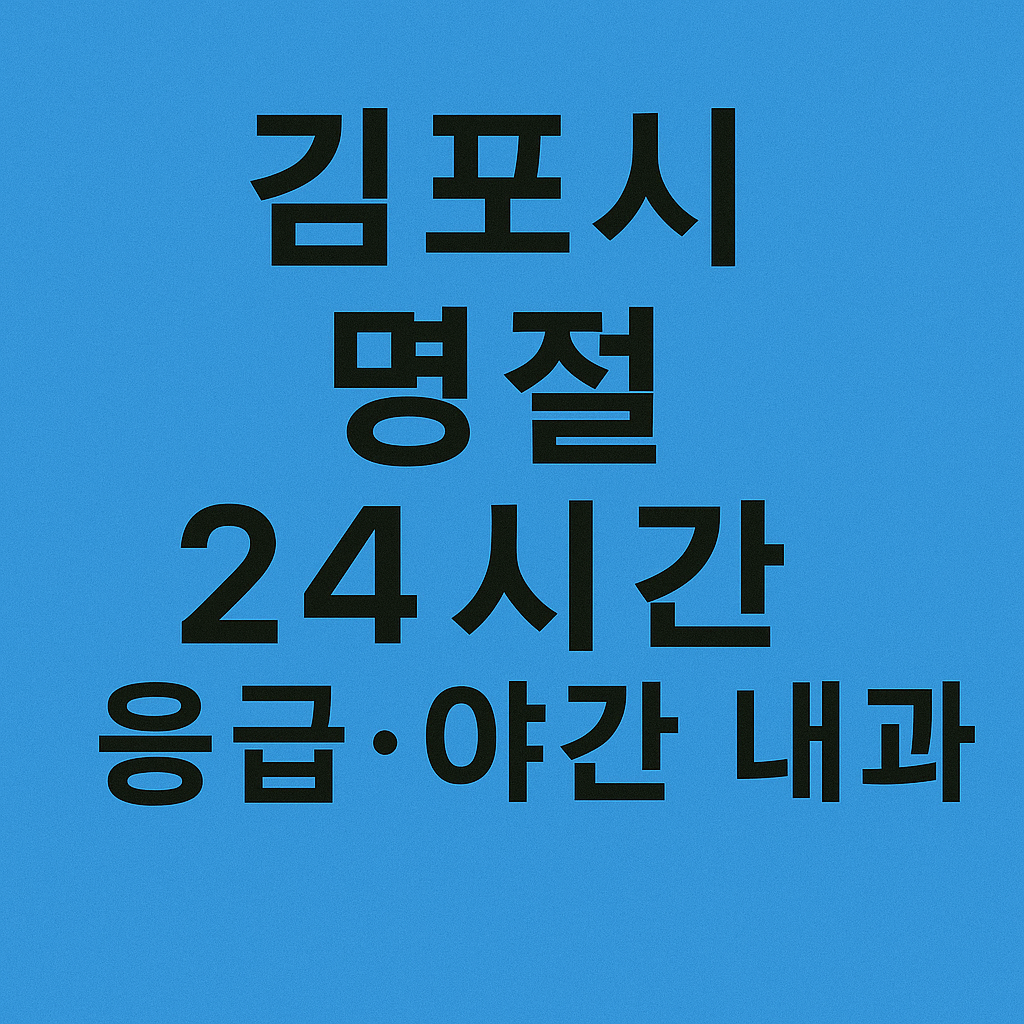 김포시 명절 24시간 응급&middot;야간 내과