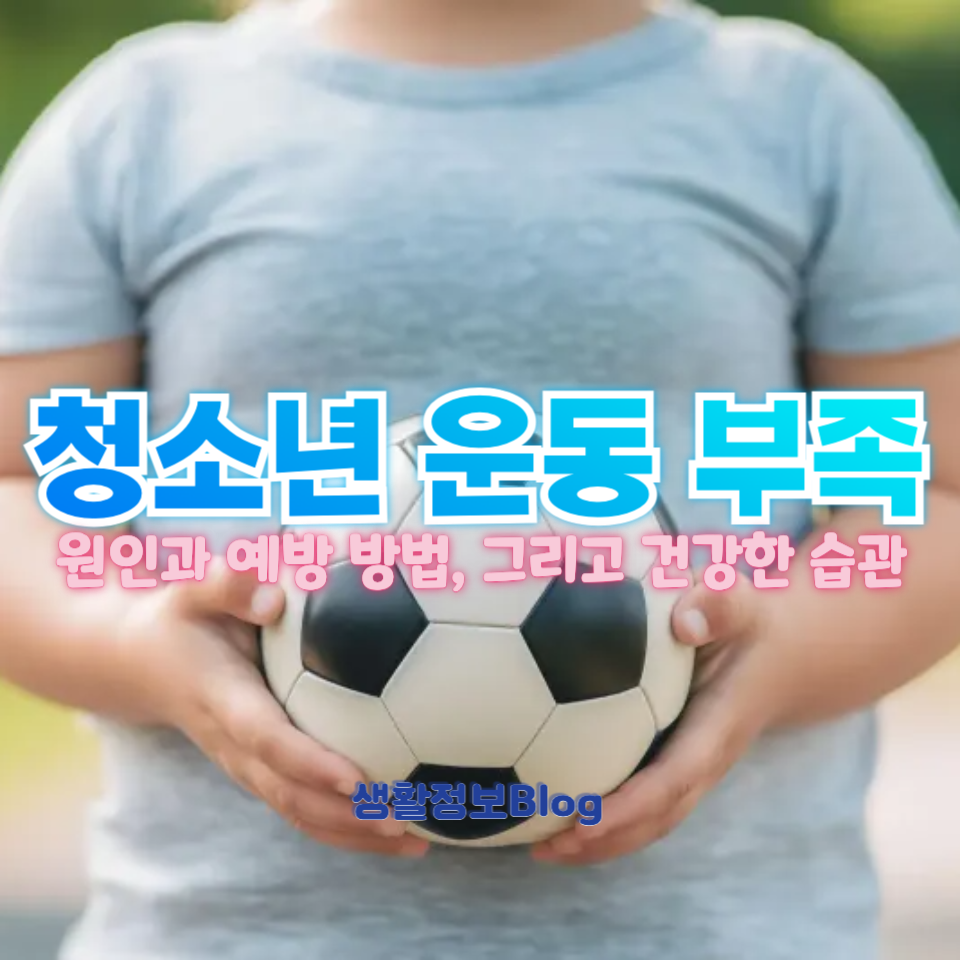 청소년 운동 부족