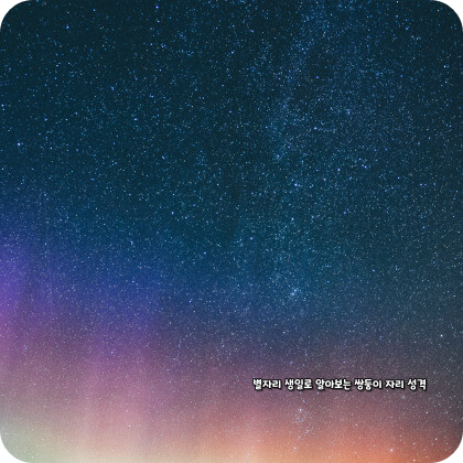 생일 별자리로 알아보는 쌍둥이자리 성격