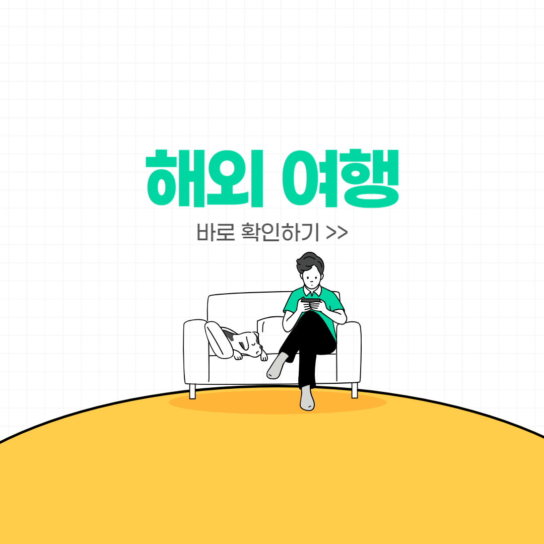 해외여행 로밍 USIM eSIM 비교, 이용방법