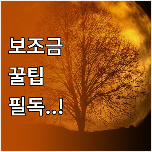 전기차 보조금 신청 방법과 의무 운행..