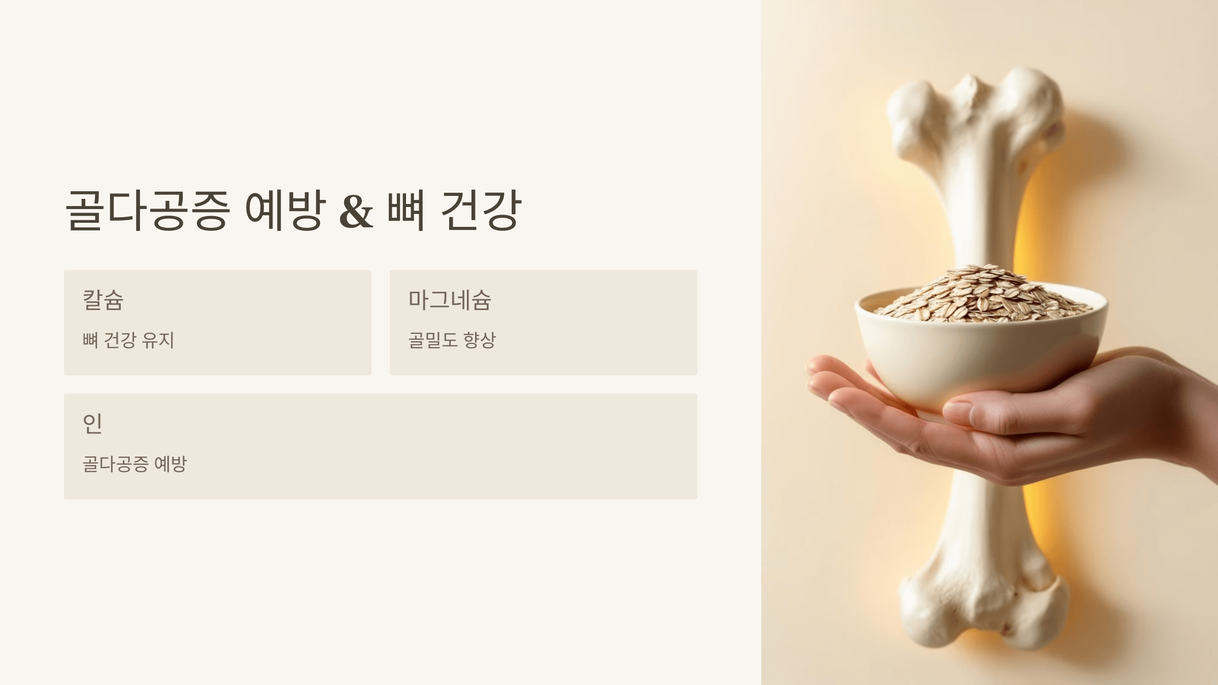 귀리 사진입니다.