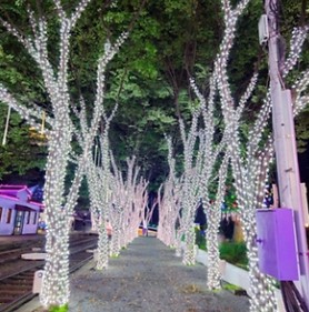 청도프로방스 빛축제(이미지출처:한국관광공사 홈페이지)