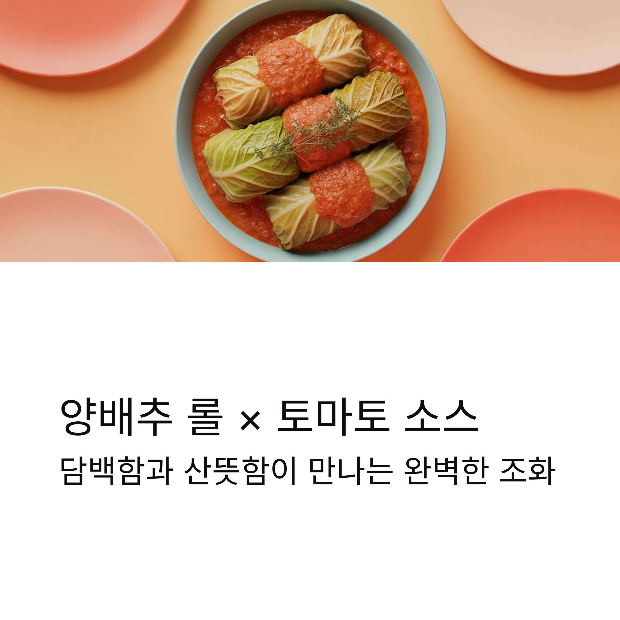 양배추 롤과 토마토 소스가 만나는 따뜻한 한 접시의 완성
