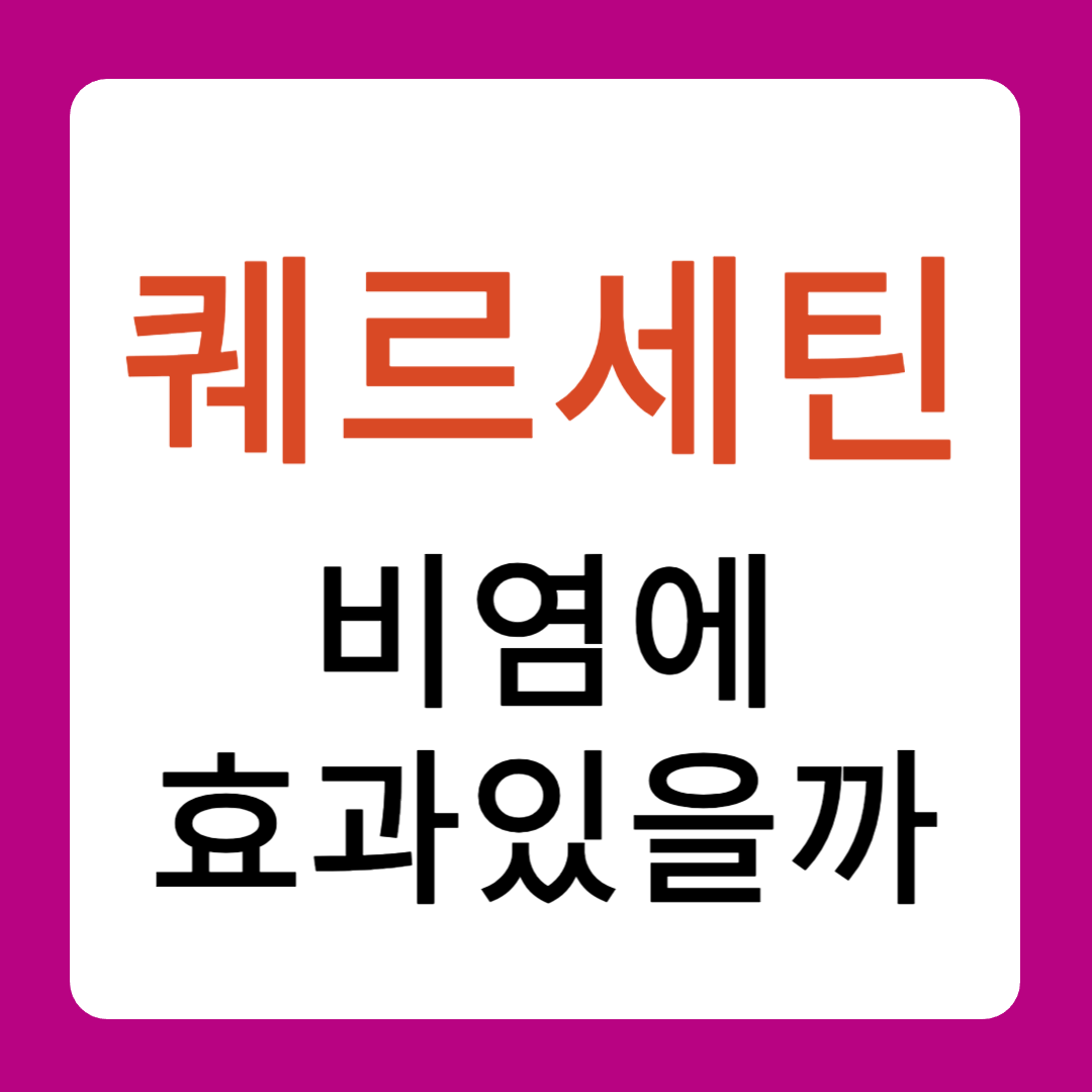 퀘르세틴 비염에 효과있을까