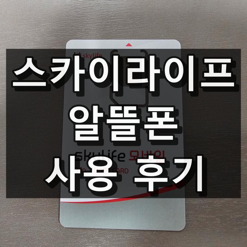 스카이라이프 알뜰폰
